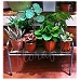Small House Plants on Creative Shelf Household Decorative Chair